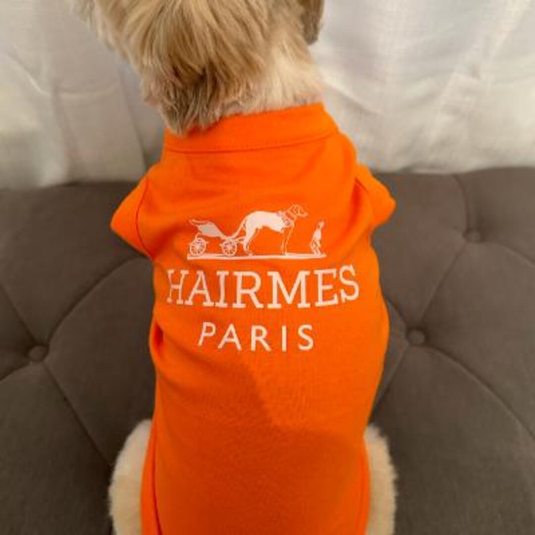 Designer Dog Clothing: Cute Clothes for Small Dogs, Gift for Dog Lover ...