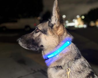 LED Dog Collars - USB Rechargeable, Light-Up Pet Collar for Night Walks - Safety Collar for Dogs - Red, Blue, Green - MilosPaws