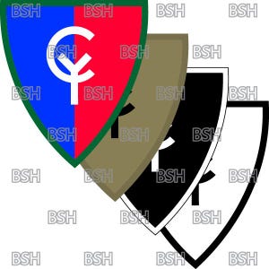 Peut inclure: Trois écussons en forme de bouclier avec des motifs différents. Le premier écusson est vert, bleu et rouge avec une lettre 'C' stylisée au centre. Le deuxième écusson est kaki avec une lettre 'C' stylisée au centre. Le troisième écusson est noir et blanc avec une lettre 'C' stylisée au centre.