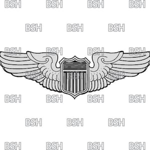 USAF Pilot Wings Vector Image Files (.ai, .pdf, & .svg Formats) Plus ...