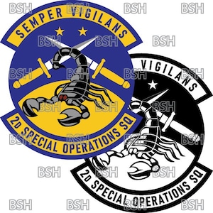 File di immagini vettoriali della patch dello squadrone delle operazioni speciali 2d (Hurlburt Field) (formati .ai, .pdf e .svg) più raster (.png e .jpg)