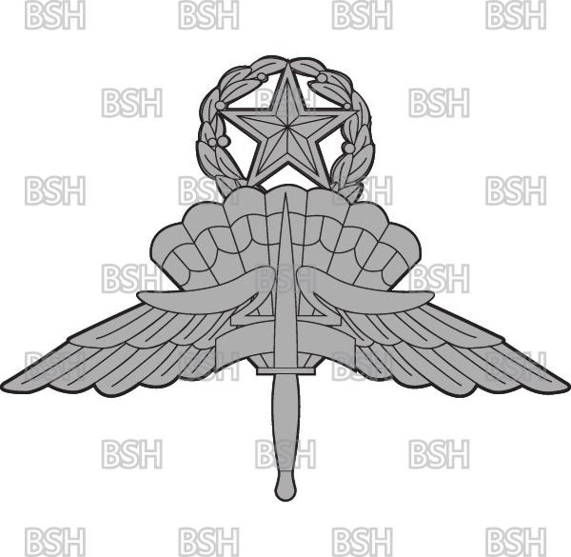 Military Free Fall Parachutist Badge Vector Image Files (.ai, .pdf ...