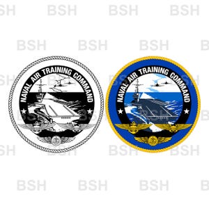 May include: Two circular emblems featuring the Naval Air Training Command logo. One is black and white, the other is blue, yellow, and white. Both depict an aircraft carrier, two jets, and gold-coloured wings with a central emblem.