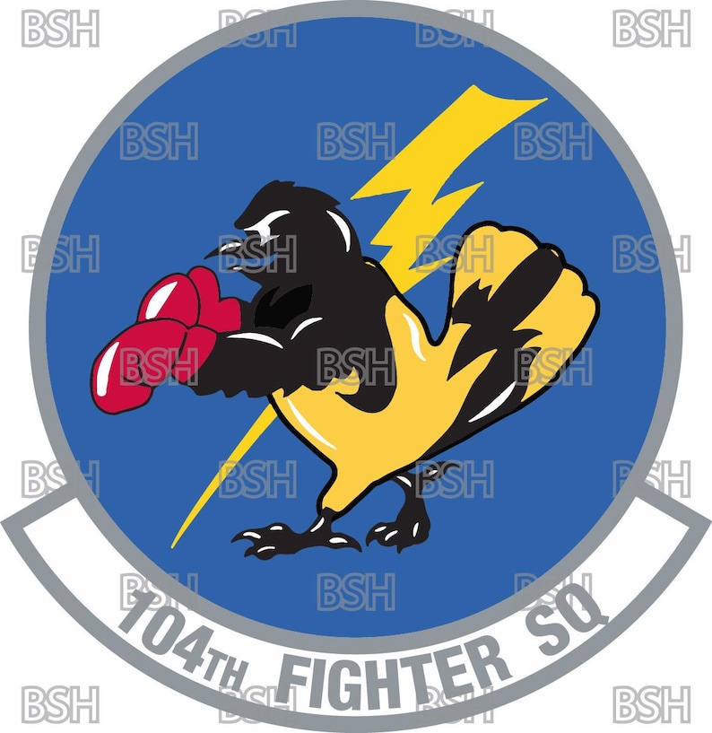 104th Fighter Squadron (maryland ANG) Patch Vector Image Files (.ai ...