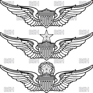 Könnte beinhalten: Drei schwarz-weiße Illustrationen von Militär-Pilotenflügeln. Die oberen Flügel haben einen Schild mit vertikalen Streifen. Die mittleren Flügel haben einen Stern über dem Schild. Die unteren Flügel haben einen Kranz mit einem Stern über dem Schild.