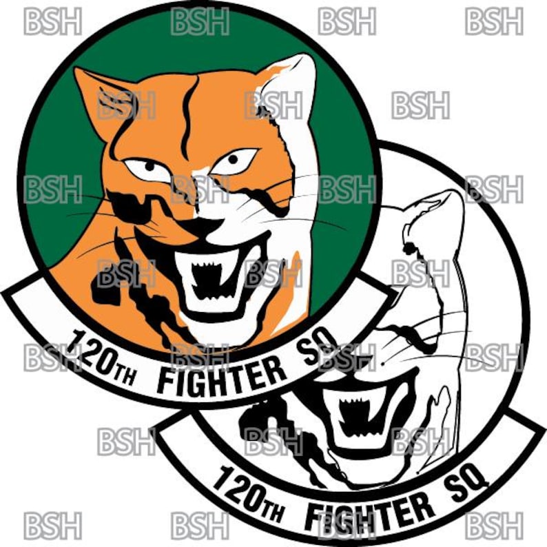 120th Fighter Squadron (colorado ANG) Patch Vector Image Files (.ai ...