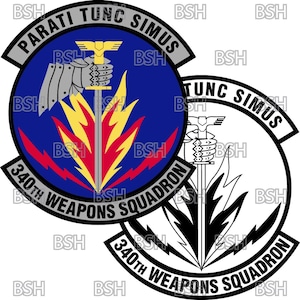 Puede incluir: Un emblema en blanco y negro con una espada y llamas. El texto "PARATI TUNC SIMUS 340TH WEAPONS SQUADRON" está escrito alrededor del emblema.