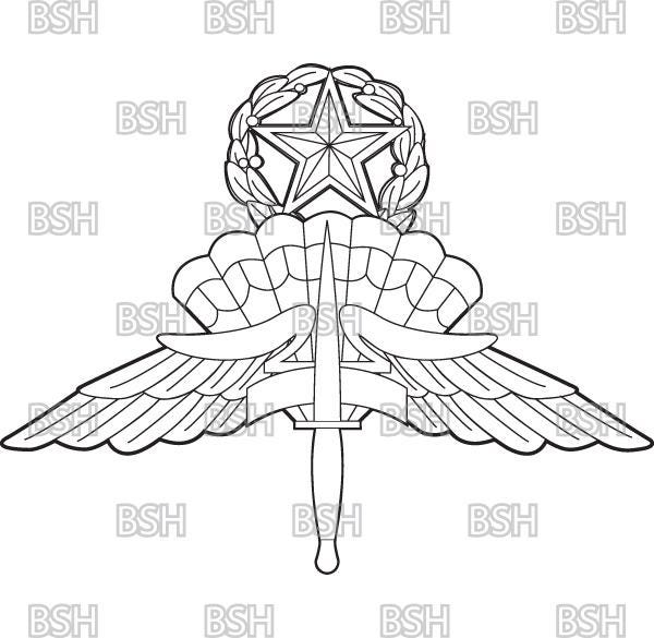 Military Free Fall Parachutist Badge Vector Image Files (.ai, .pdf ...