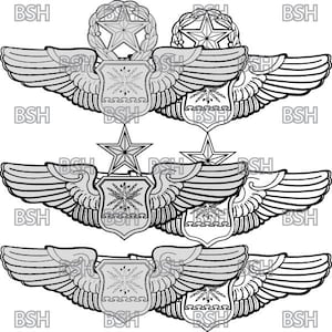 May include: A collection of silver-colored military insignia, featuring stylized wings, stars, and crests. The designs include intricate details and symmetrical arrangements, suitable for military or patriotic themes.