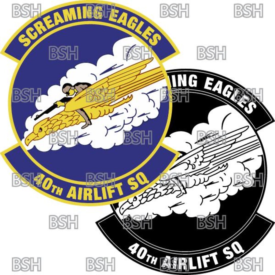 40th Airlift Squadron (dyess AFB) Patch Vector Image Files (.ai, .pdf ...