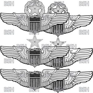 USAF Pilot Wings Vector Image Files (.ai, .pdf, & .svg Formats) plus Rasters (.png and .jpg)