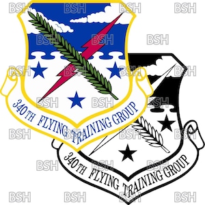 Op de afbeelding: Een zwart-wit embleem met een gele rand. Het embleem toont een bliksem, tarwehalmen en sterren. De tekst "340th Flying Training Group" staat op een rol aan de onderkant van het embleem.