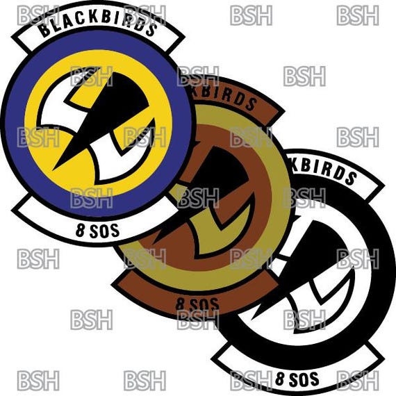 8th Special Operations Squadron (hurlburt Field) Patch Vector