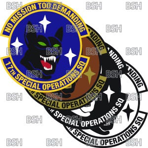 May include: A blue, yellow, and black circular patch with the text "No Mission Too Demanding 17th Special Operations SQ" and a black panther with green eyes.