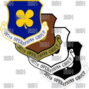 Puede incluir: Un escudo azul, marrón y negro con un trébol dorado y el texto "307th Operations Group" repetido tres veces.