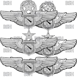 May include: A black and white illustration of three Air Force Aircrew wings with a compass and star design. The wings are layered on top of each other.