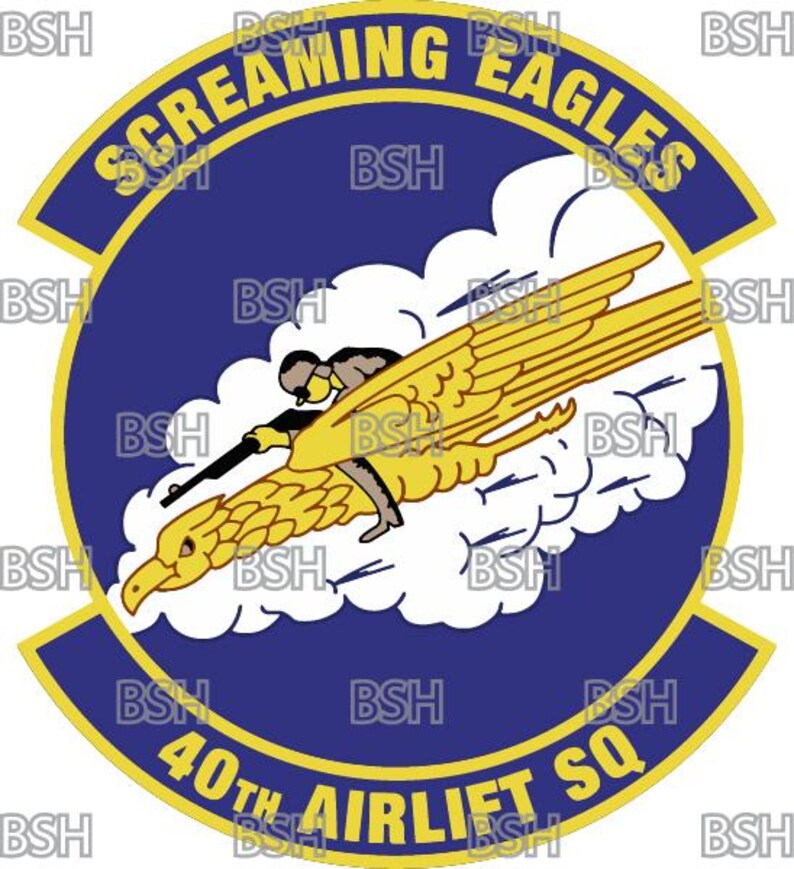 40th Airlift Squadron (dyess AFB) Patch Vector Image Files (.ai, .pdf ...