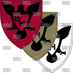 Może przedstawiać: Trzy wersje naszywki jednostki wojskowej. Naszywka przedstawia czarnego orła z rozpostartymi skrzydłami, tarczę z literami "BH" w środku i napisami "BSH" wokół krawędzi. Naszywki są czerwone, zielone i białe.