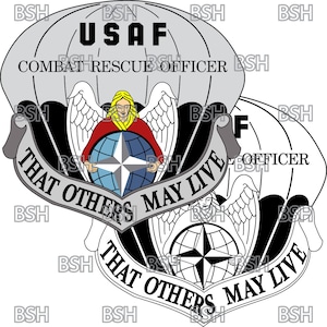 Puede incluir: Un emblema en blanco y negro con un paracaídas plateado y un globo terráqueo con una estrella de brújula. El emblema presenta un ángel alado sosteniendo el globo y el texto "That Others May Live" en una pancarta.