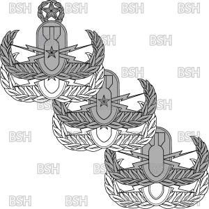 May include: Three gray and white military badges. Each badge features a central design with a star, lightning bolts, and a bomb shape, surrounded by a laurel wreath. A star and wreath top each badge.