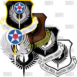 第65アグレッサー飛行隊&A-10飛行隊パッチ ネリス空軍基地 第65