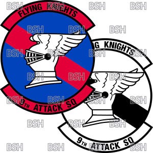 May include: A blue and red patch with a knight's helmet and wings, with the text "Flying Knights 9th Attack Sq" around the edge.