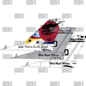 May include: A white and gray airplane tail with a red, white, and blue design. The tail features the text "First in the Air Guard" and "Mile High Militia".