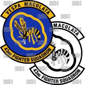 May include: A blue and yellow round patch with the text "VESPA MACULATA 43RD FIGHTER SQUADRON" and a yellow wasp illustration. A white and black version of the patch is shown behind the blue and yellow patch.
