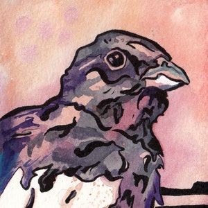 Colorado&#39;s State Bird Art Print - Print of Original Watercolor Painting of the Lark Bunting - Bird Wall Art by Jen Tracy - Colorado Art