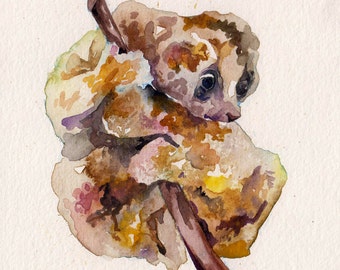 Cute Slow Loris Watercolor Painting by Jen Tracy - Original Art of Wildlife - Warning Totally Not a Sloth