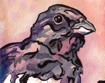 Colorado's State Bird Art Print - Print of Original Watercolor Painting of the Lark Bunting - Bird Wall Art by Jen Tracy - Colorado Art
