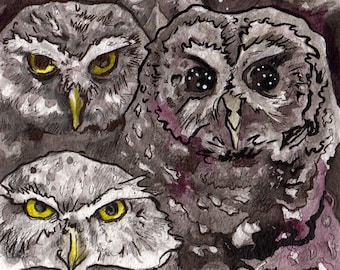 Three Owls in Ink - Original Painting of Spooky Owls - Watercolor and Ink Owl Art - Painting of Owls by Jen Tracy for Horror Story