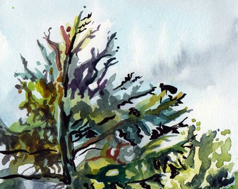 Watercolor in the Park - Original Artwork - Plein Air Painting of Trees - Row of Trees - Small Painting of Trees - Park Painting Art - Trees