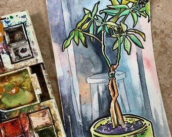 Money Tree Watercolor Painting - House Plant Art - Painting of Houseplant - Plant Lover Gift - Watercolor Postcard of a Tree - Original Art