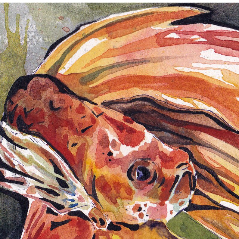 Tryck av orange bettafisk - Reproduktion av original akvarell på pappersmålning av Jen Tracy - Väggkonst med orange fisk bild 4