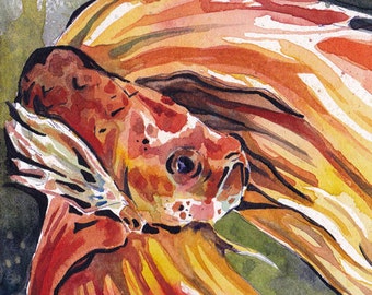 Print of Orange Betta Fish - Reproduction of Original Watercolor on Paper Painting by Jen Tracy - Orange Fish Wall Art