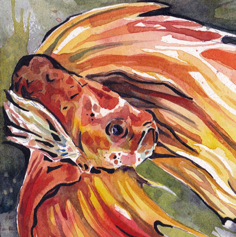 Tryck av orange bettafisk - Reproduktion av original akvarell på pappersmålning av Jen Tracy - Väggkonst med orange fisk bild 1