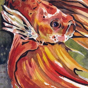 Tryck av orange bettafisk - Reproduktion av original akvarell på pappersmålning av Jen Tracy - Väggkonst med orange fisk bild 2