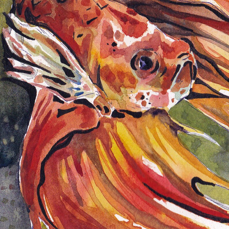 Tryck av orange bettafisk - Reproduktion av original akvarell på pappersmålning av Jen Tracy - Väggkonst med orange fisk bild 2