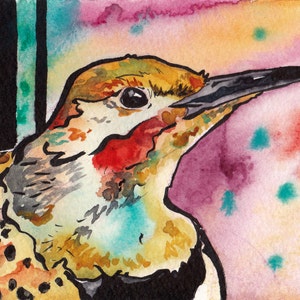 Alabama State Bird Art - Print of Original Watercolor Painting of the Northern Flicker - Bird Wall Art by Jen Tracy - Nursery Art with Birds