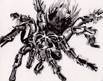 Tarantula Drawing - Ink Painting of a Spider - Black Tarantula Art - Original Inktober Art - Halloween Spider Decoration Art - Spooky Gifts