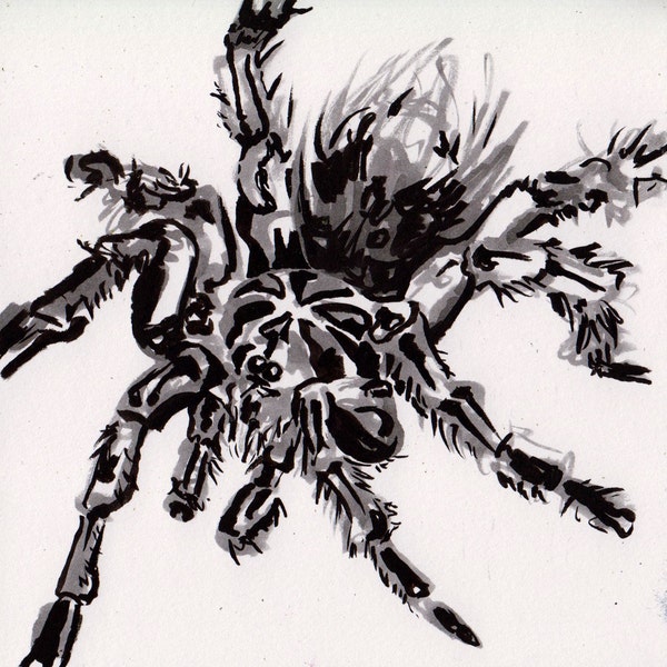 Tarantula Drawing - Ink Painting of a Spider - Black Tarantula Art - Original Inktober Art - Halloween Spider Decoration Art - Spooky Gifts