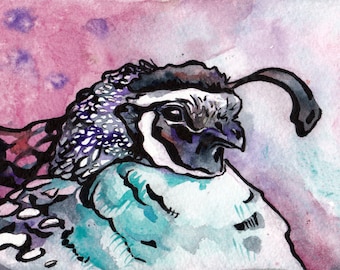 California's State Bird - Original Watercolor Painting of the Valley Quail  - Bird Art by Jen Tracy