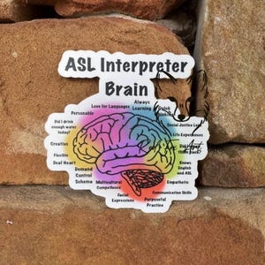 May include: A sticker with the words "ASL Interpreter Brain" and a colorful brain graphic. The brain graphic has labels such as "Love for Languages", "Creative", and "Empathetic". The sticker is on a textured, brown stone background.