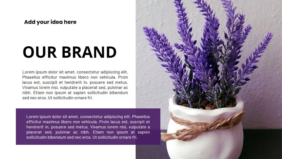 Editable Masterclass Presentation Slides: Canva & Powerpoint (instant ...