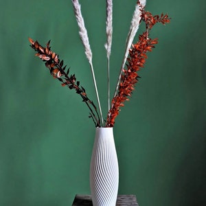 Minimalist Vase – Elegance and Distinction for Your Home