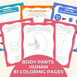 81 Body Parts Human Coloring Pages, Educational Anatomy Coloring Pages, Printable Human Body Organ Matching, Montessori Activity Learning