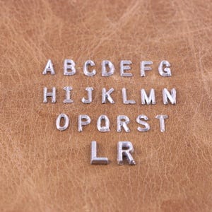 May include: Silver metal alphabet letters arranged on a brown leather surface. The letters are in a serif font and are evenly spaced. The letters are A through T, with the exception of the letter Q, and the letters L and R.