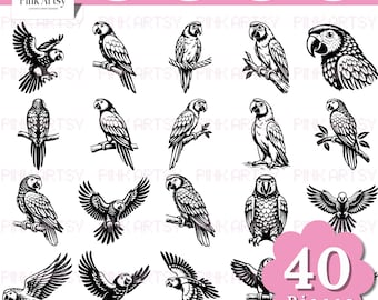 Parrot Bird SVG Bundle | Tropical Clipart Cut File (Digital Download)