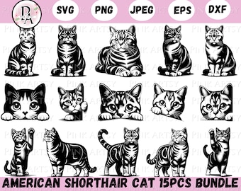 american shorthair cat svg png cat bundle clipart sitting cat peeking cat standing cat vector art cat cricut file cat laser cut cat clipart